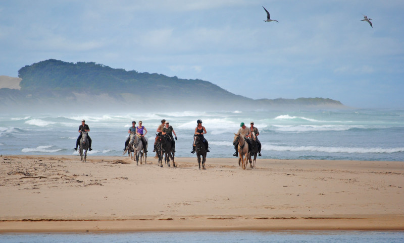 wild coast horse rides saker att göra i east london