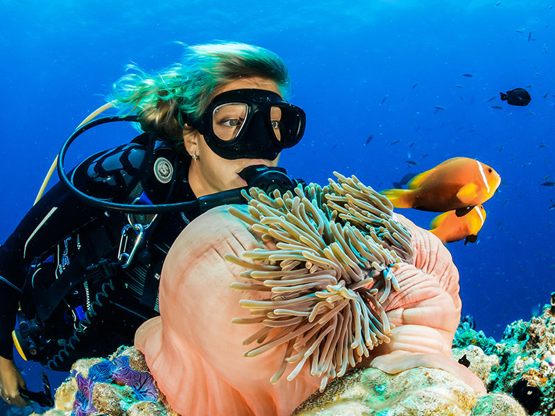 Indonesia’s best dive sites and snorkeling spots that will take your breath away!