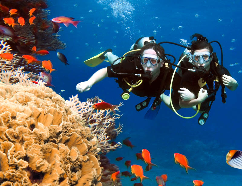 Guide to Diving the Sea, Jordan | Travelstart.co.za