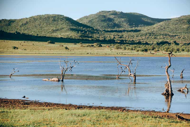 Pilanesberg Nature Reserve