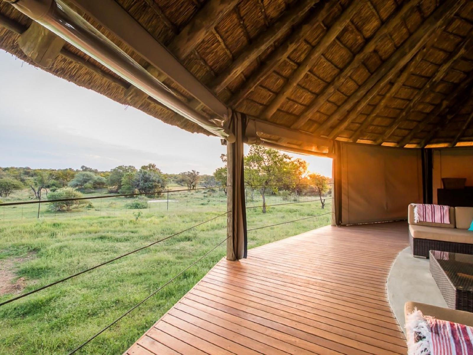 5 Brilliant Bush Stays in Dinokeng Game Reserve