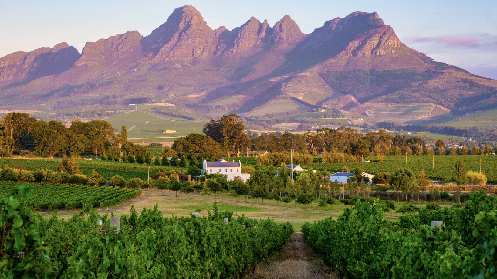 Things to do in Stellenbosch during Winter & Summer