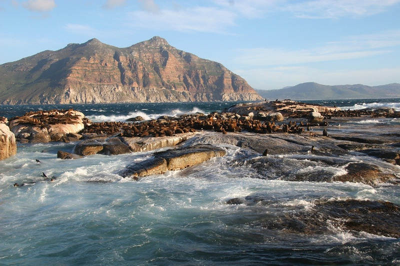 Freediving cape town