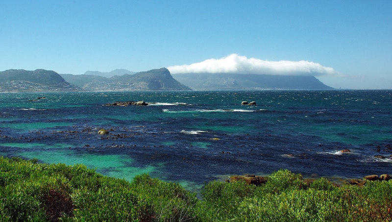 Freediving in cape town