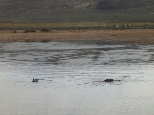 Aquila Game Reserve Aquila Game Reserve