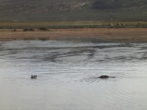 Aquila Game Reserve