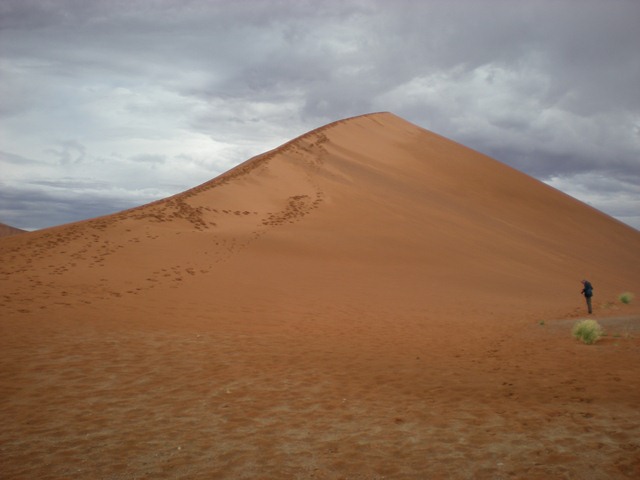 Namibian Sand Dune 