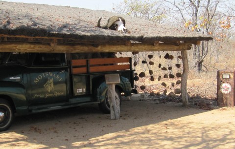 Motswari Private Game Reserve