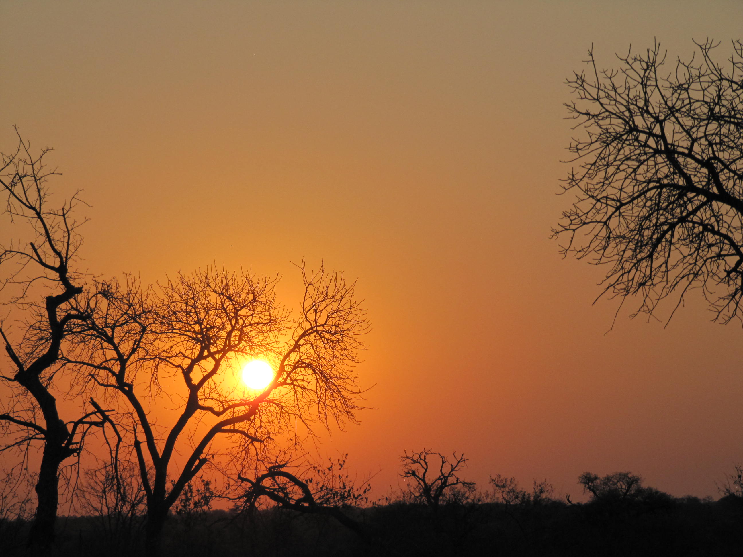 Sunset Motswari