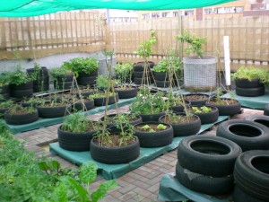 Afhco Rooftop garden 