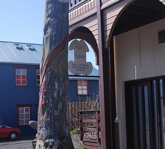 Icelandic Phallological Museum