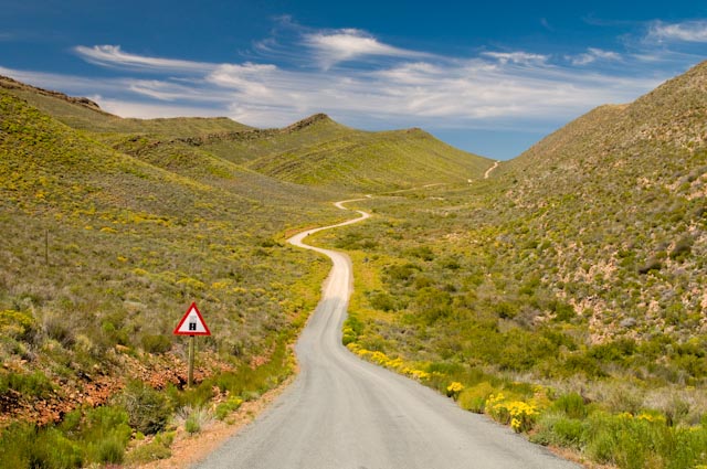 Cape Flower Route