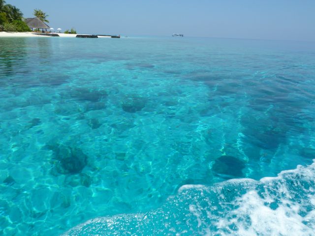Crystal Clear Water in the Maldives