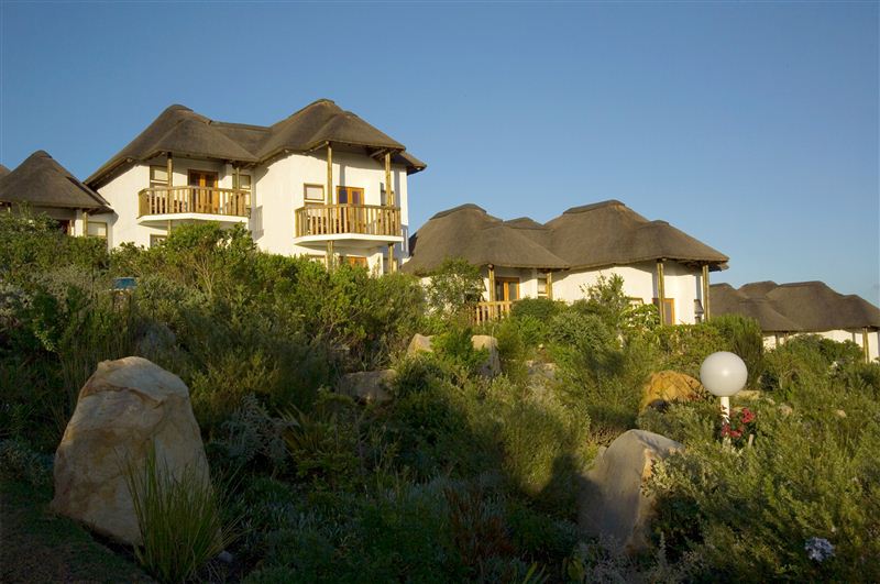 Whalesong Coastal Lodge Plett