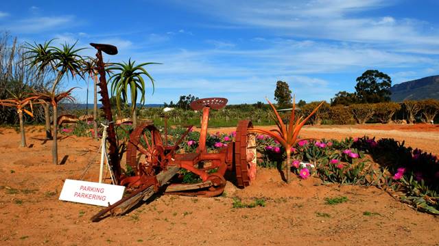 Vanrhynsdorp Succulent Nursery