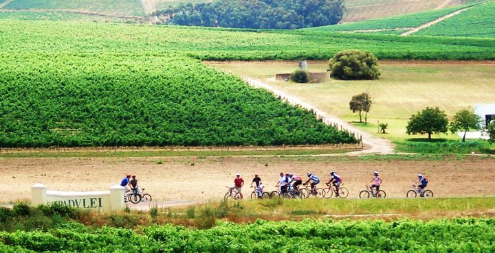 Bike and Wine Tour