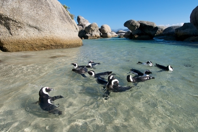 Boulders Beach