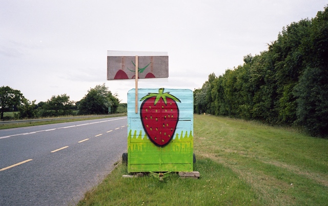 Fresh Wexford Strawberries