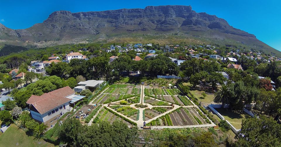 Oranjezicht City Farm