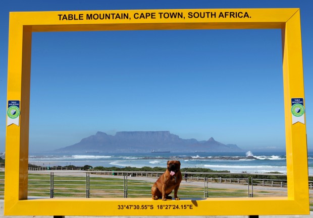 Table Mountain Frames