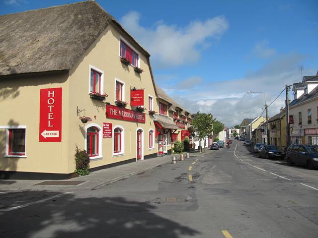 Sheep in Ireland