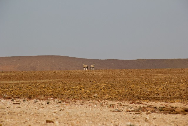 Dirt road in Namibia