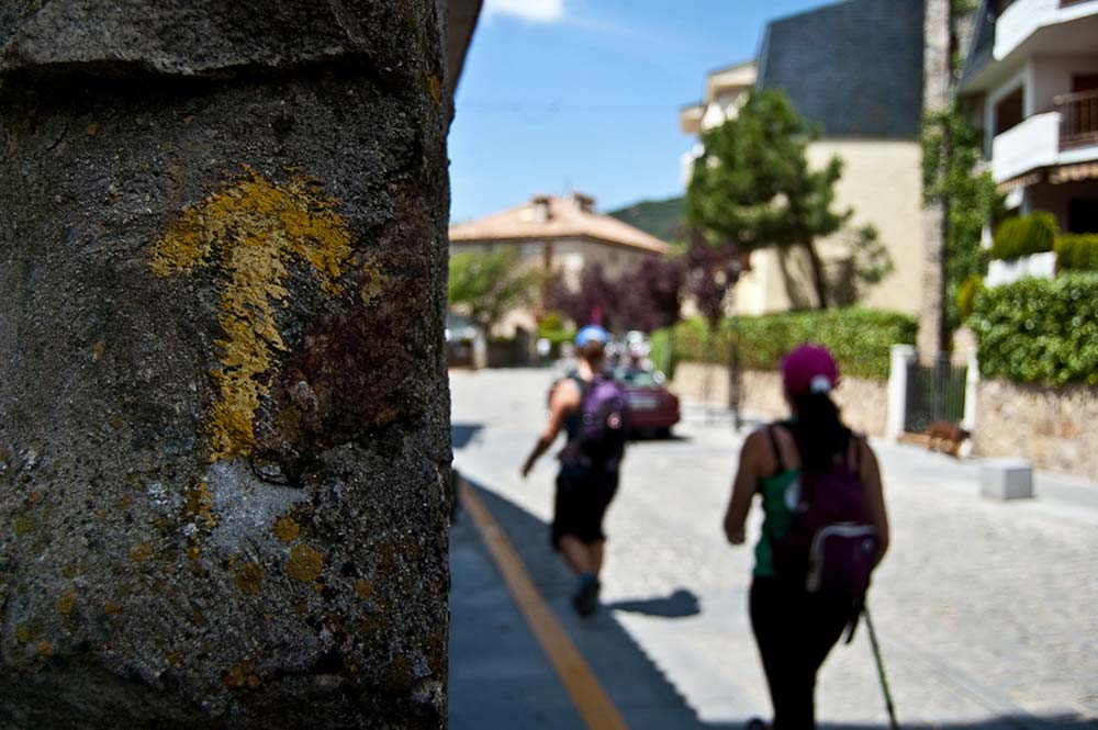 Walking the El Camino de Santiago trail between France and Spain.