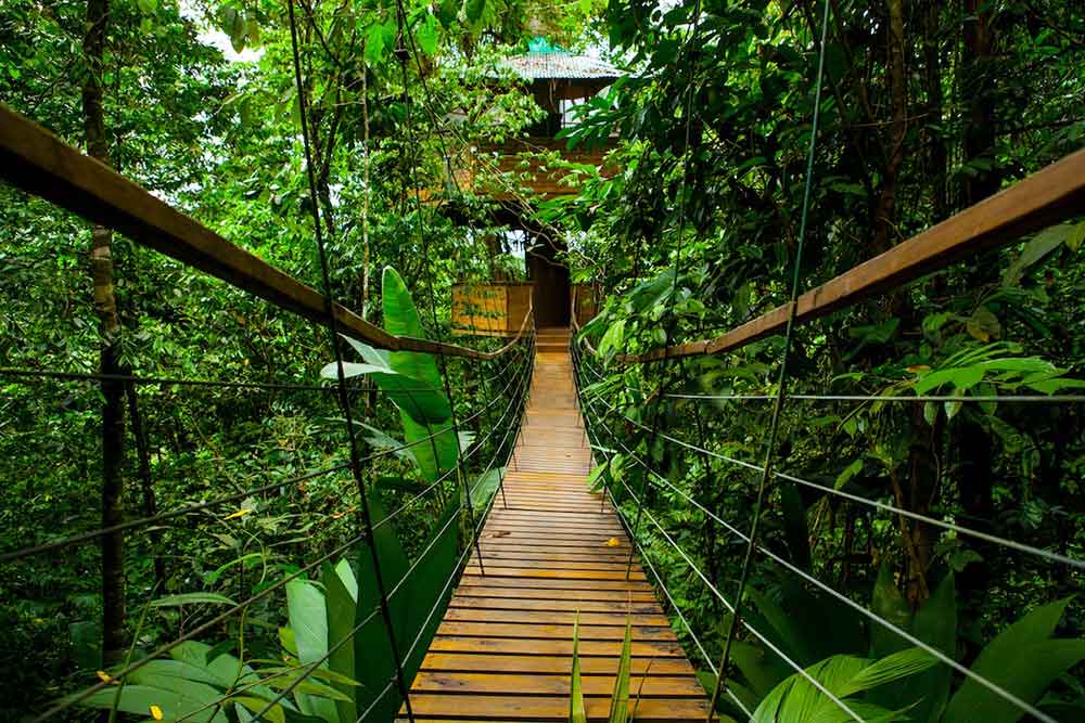 Treehouse accommodation at Finca Bellavista, Costa Rica.