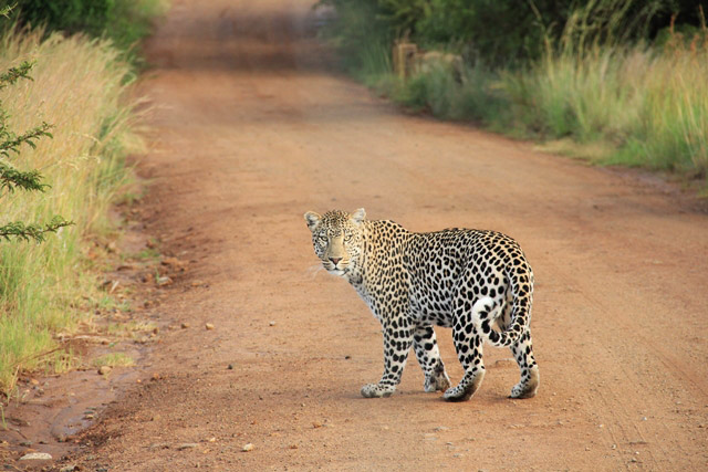 Kruger National Park