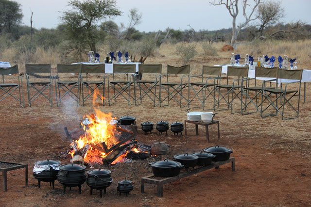 Madikwe