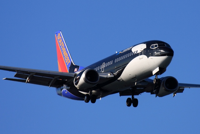 Southwest Shamu Plane