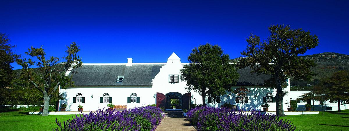 Steenberg Farm