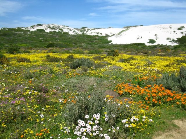 West Coast National Park