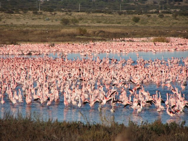 Flamingo Casino Kimberley - family vacation