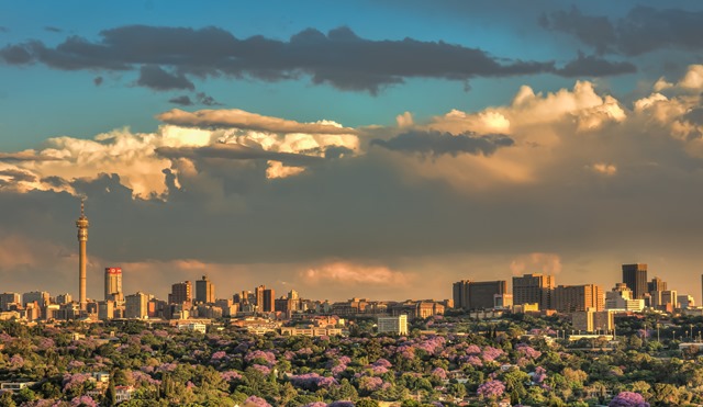 Fun things to do Johannesburg