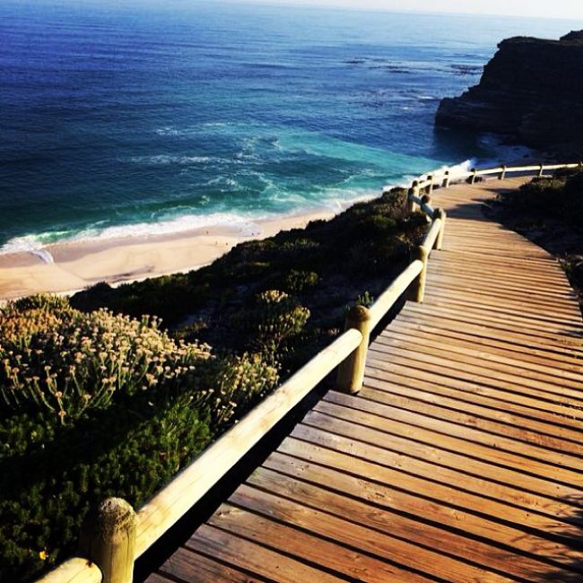 Cape Point is as sight to behold!