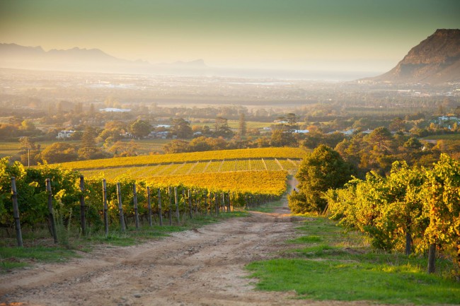 Wine tasting at Klein Constantia near Cape Town, South Africa.