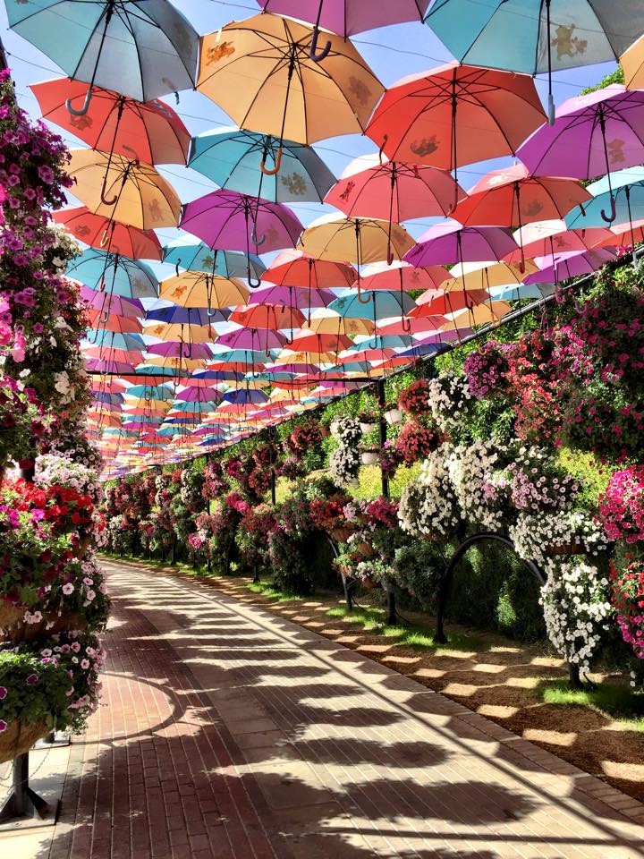 Dubai Miracle Garden