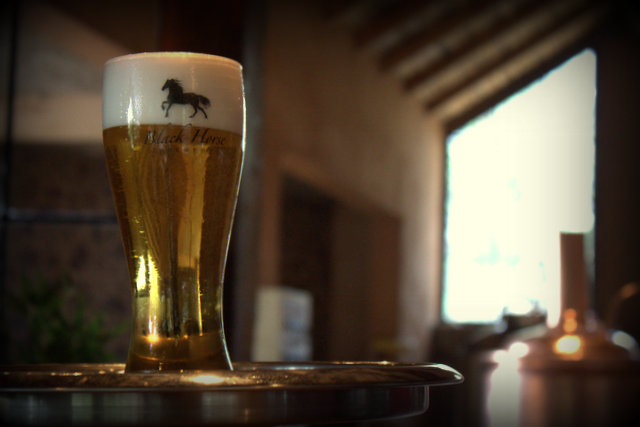 black horse beer