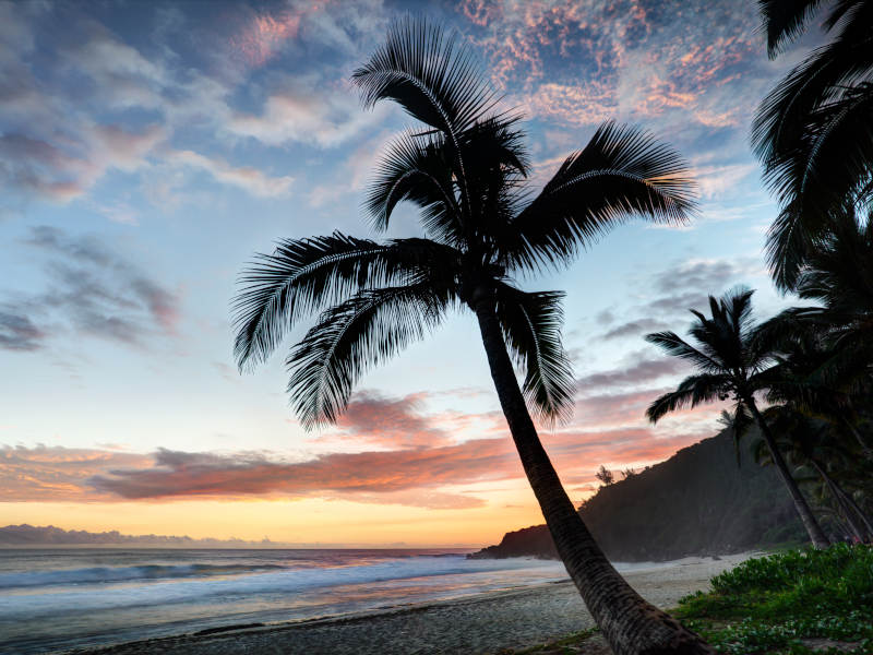 Grande Anse Beach Reunion Island