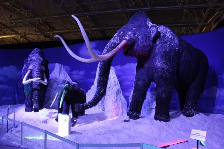 Ice-Age-Mammoths-223-1024x683