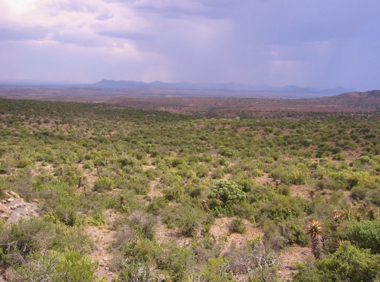 Karoo National Park