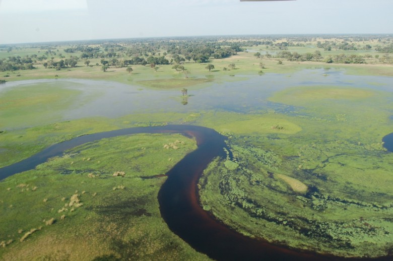 Okavango Delta