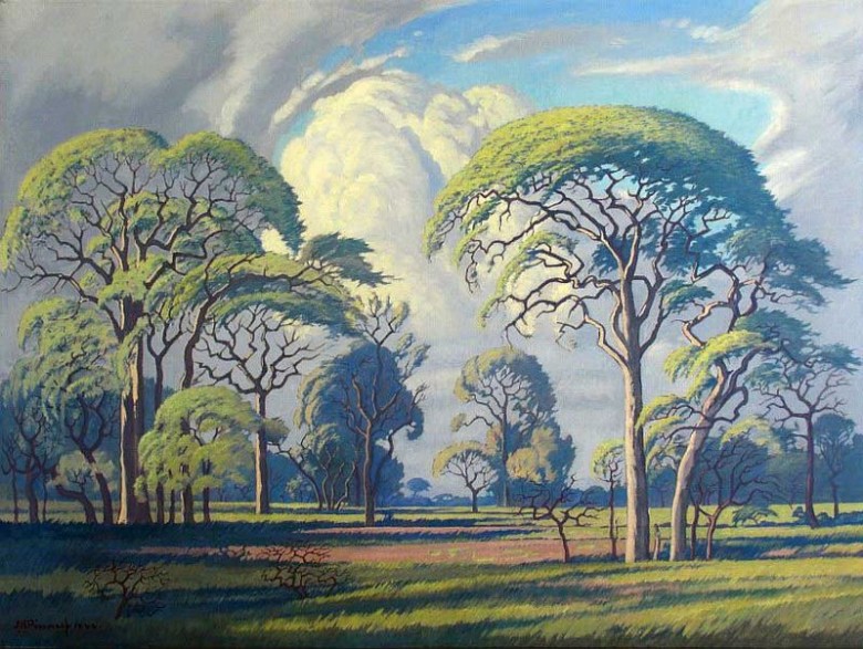 800px-Pierneef_1945_Hardkoolbome_-_Bosveld