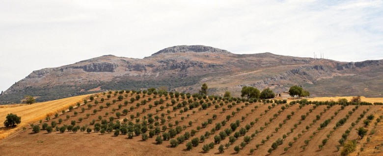 countryside outside Rhonda