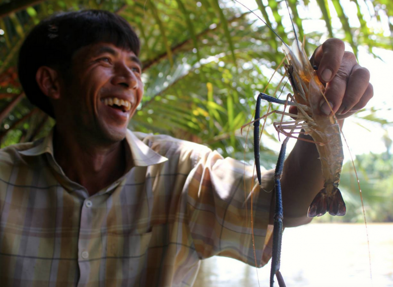 Catching prawns on the river.