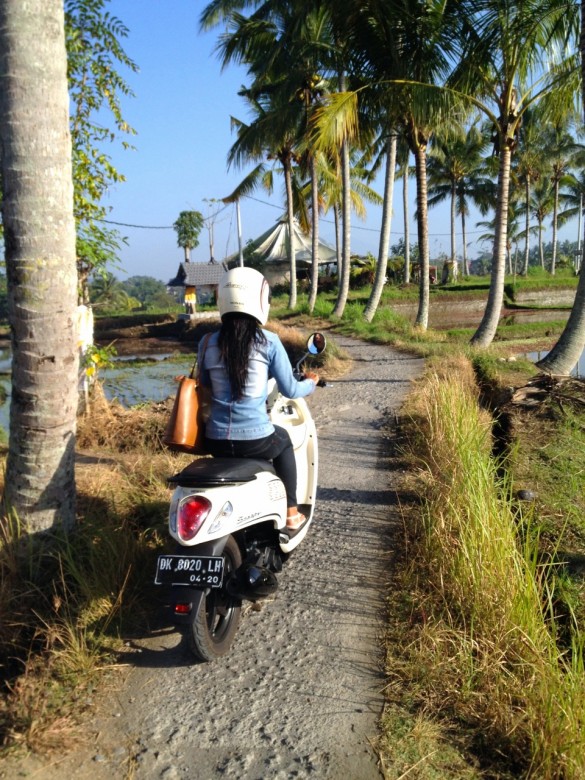 Typical road in Bali, Ubud (960x1280)