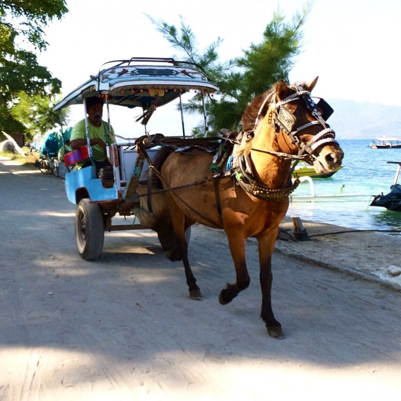 Gili island horse cart