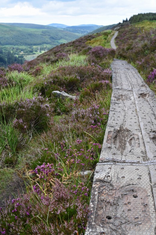 10. View from the An Spinc trail in Glendelough, Ireland