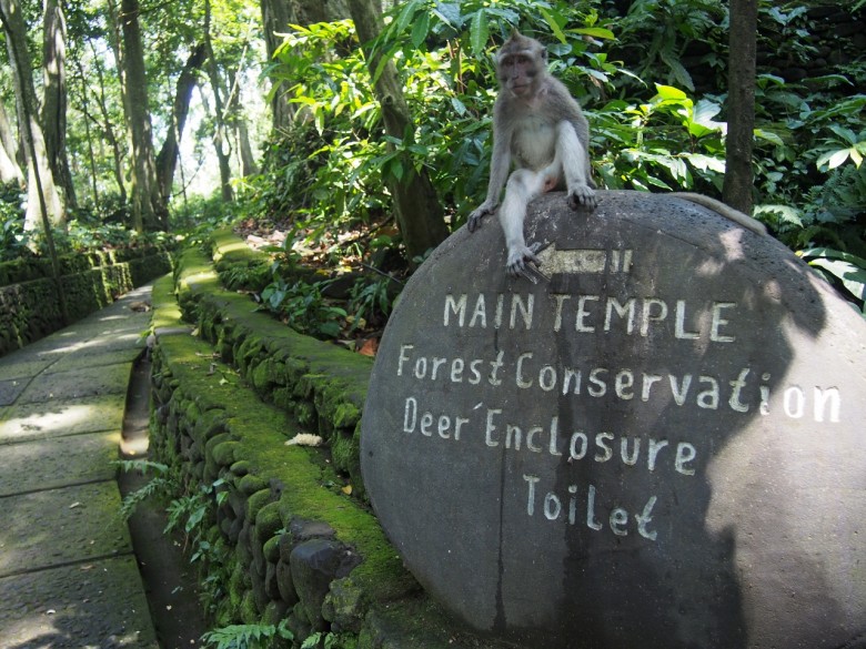 Monkey Business Ubud